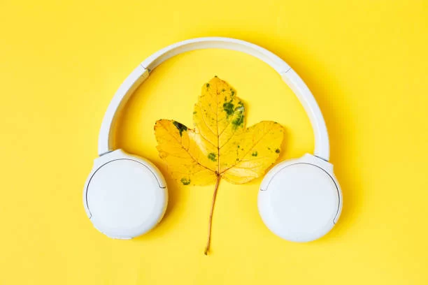 🍂 Слухання аудіокниг в осінню пору 🍂 - 1-ша Бібліотека Аудіокниг Українською Мовою Безкоштовно