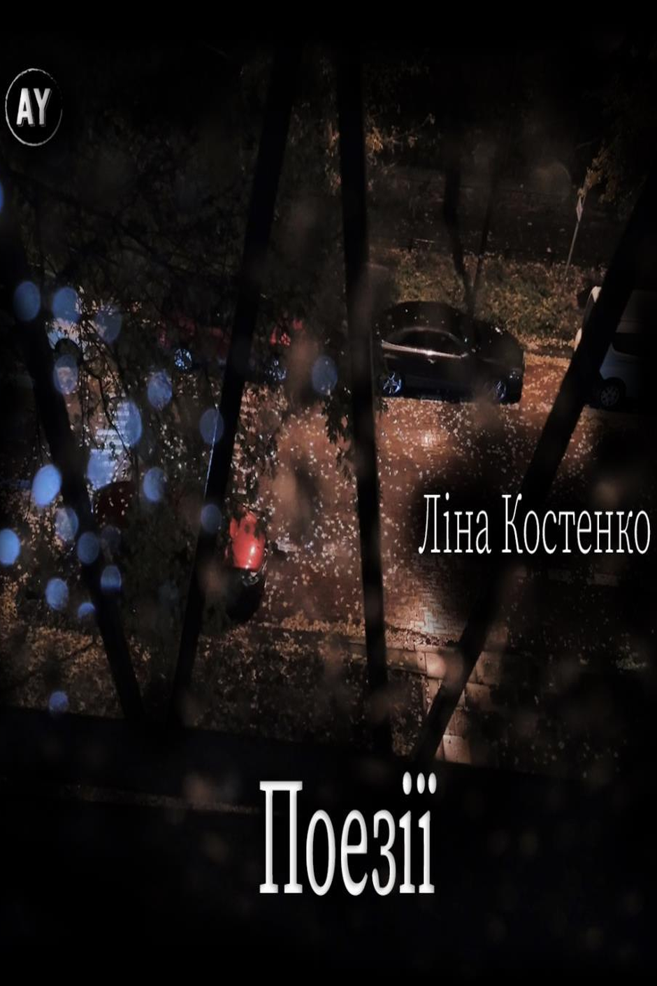 Поезії - Ліна Костенко - 1-ша Бібліотека Аудіокниг Українською Мовою Безкоштовно