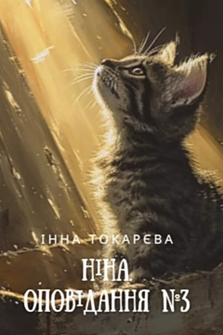 Ніна. Присвячується Донеччині - Інна Токарєва - 1-ша Бібліотека Аудіокниг Українською Мовою Безкоштовно