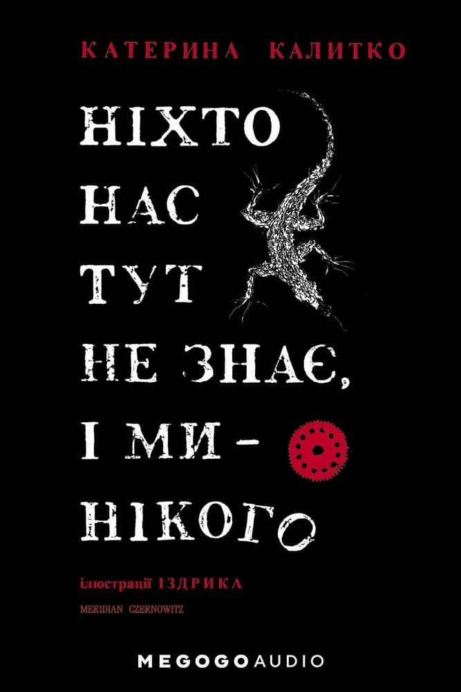 Ніхто нас тут не знає, і ми - нікого - Катерина Калитко - 1-ша Бібліотека Аудіокниг Українською Мовою Безкоштовно